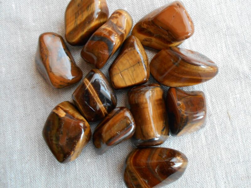 Zelta (dzeltenā) tīģeracs, XL izmērs, gludi apstrādāta