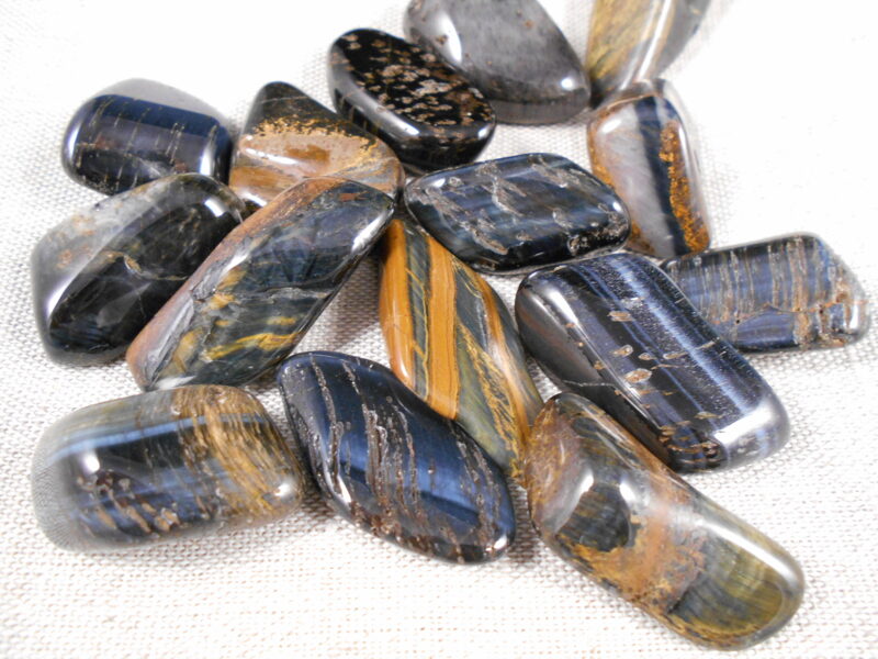 Vanaga acs, zilā tīģeracs, gludi apstrādāta, B kat., L izmērs