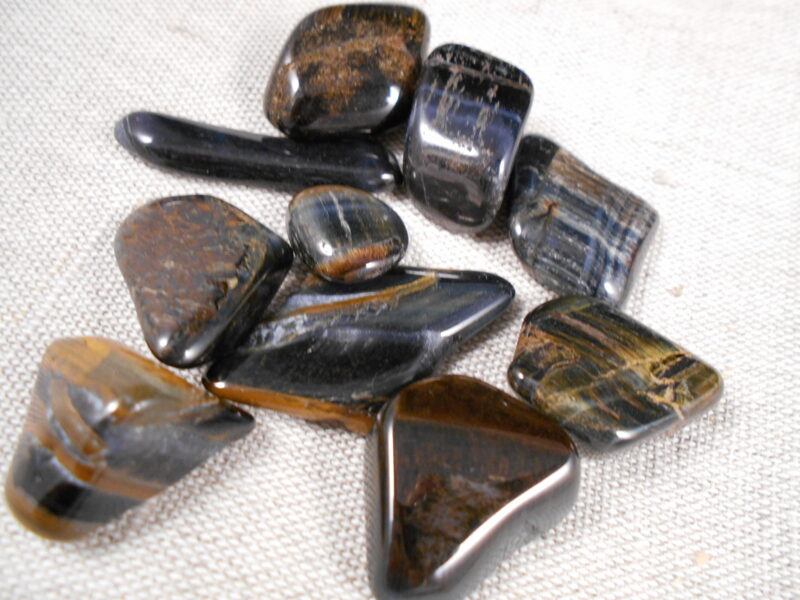 Vanaga acs, zilā tīģeracs, gludi apstrādāta, B kat., M izmērs