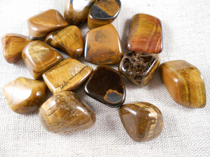 Zelta (dzeltenā) tīģeracs, B kat., M izmērs, gludi apstrādāta